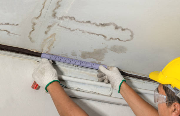 Reliable Mold Remediation contractor in Calhan, CO by Water Damage Irwin